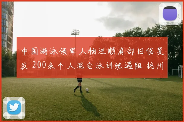 中国游泳领军人物汪顺肩部旧伤复发 200米个人混合泳训练遇阻 杭州亚运冲金前景一时黯淡
