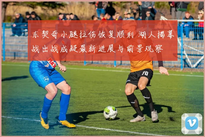 东契奇小腿拉伤恢复顺利 湖人揭幕战出战成疑最新进展与前景观察