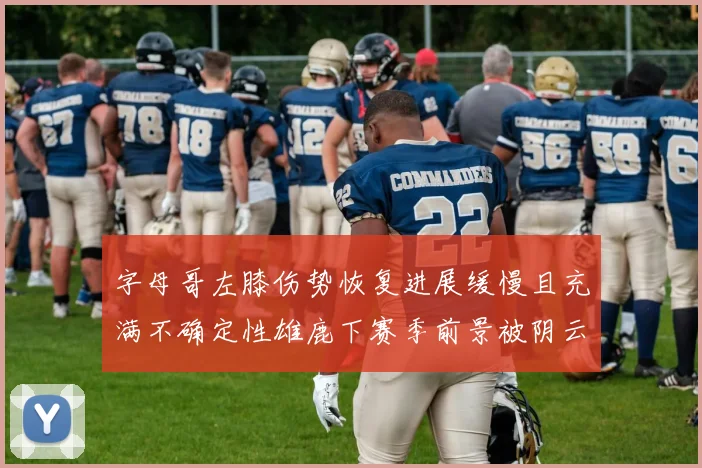 字母哥左膝伤势恢复进展缓慢且充满不确定性雄鹿下赛季前景被阴云笼罩